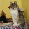 Отзыв от Кира Курочкина